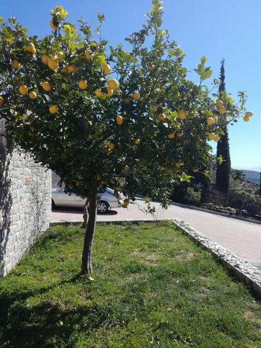 Ferienwohnung Nafplio, Hill With An Amazing View Exterior foto